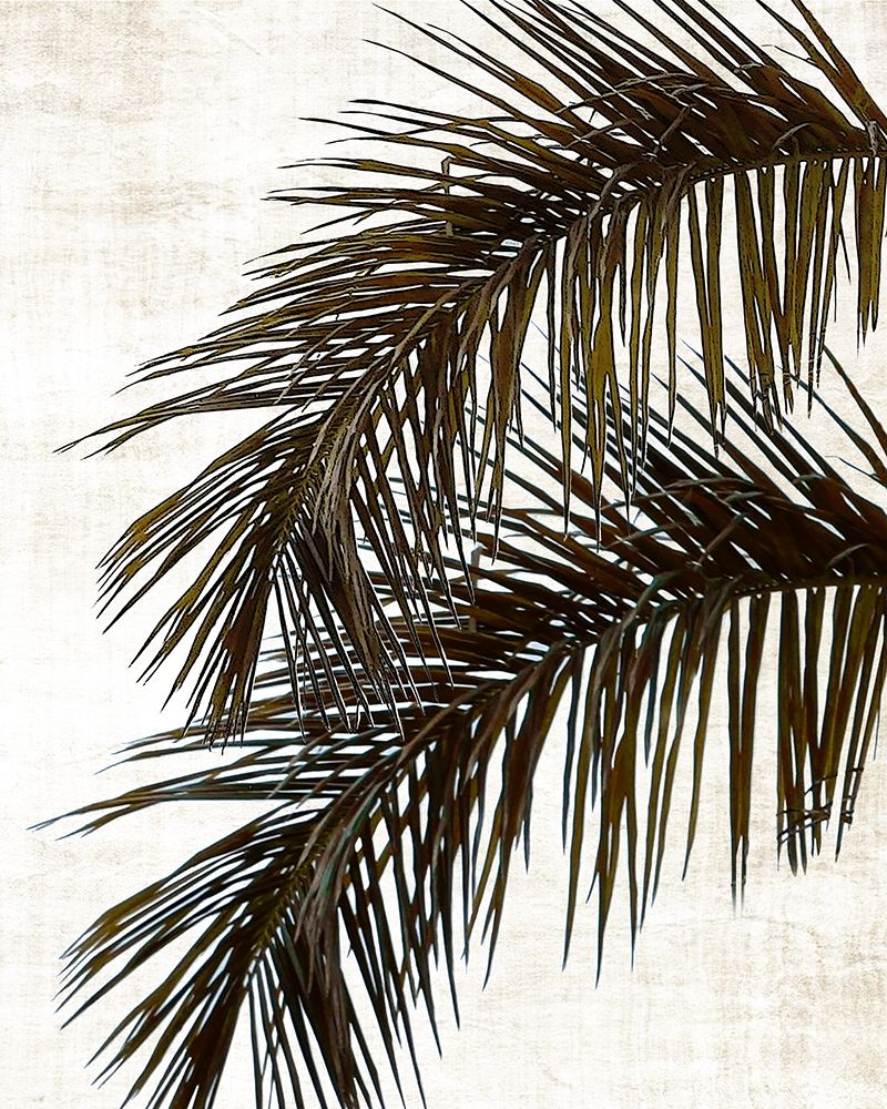 Palm II art print by Natalie Carpentieri for $57.95 CAD