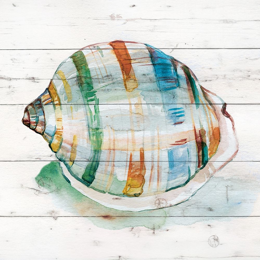 Tye Dyed Shell I art print by Carol Robinson for $57.95 CAD