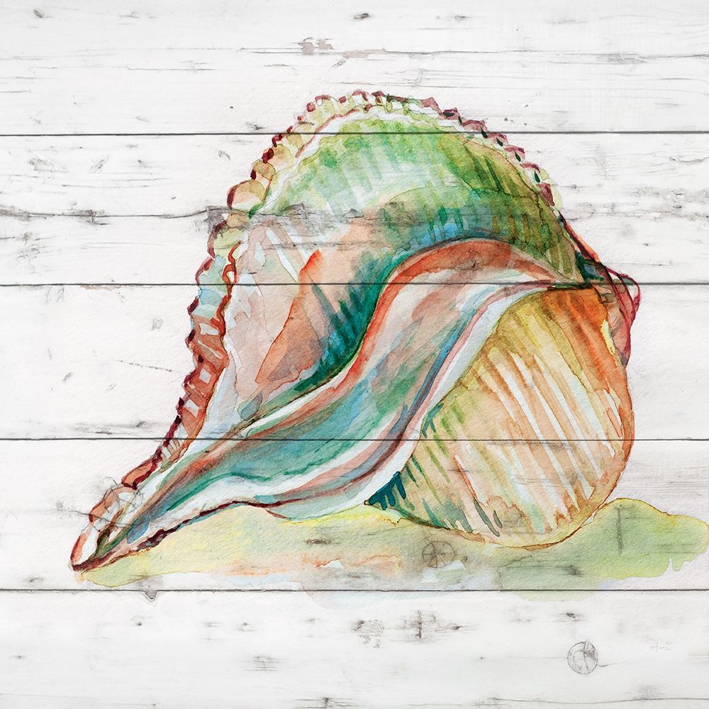 Tye Dyed Shell II art print by Carol Robinson for $57.95 CAD