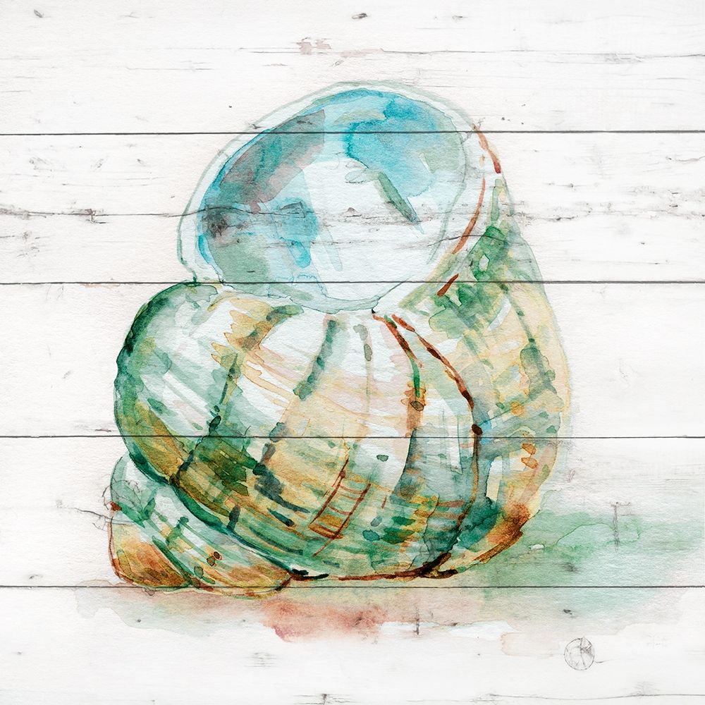 Tye Dyed Shell IV art print by Carol Robinson for $57.95 CAD
