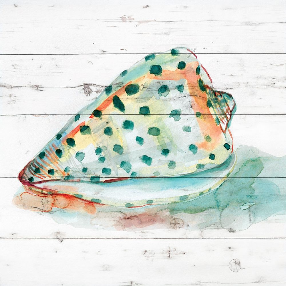 Tye Dyed Shell V art print by Carol Robinson for $57.95 CAD