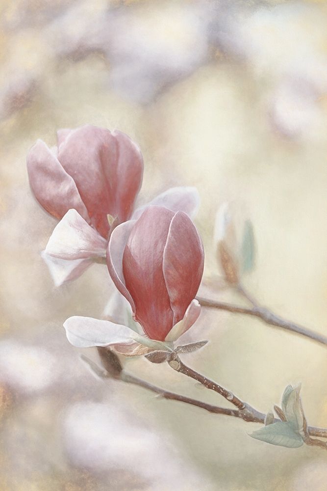 Blooming Hearts art print by Lars Van de Goor for $57.95 CAD