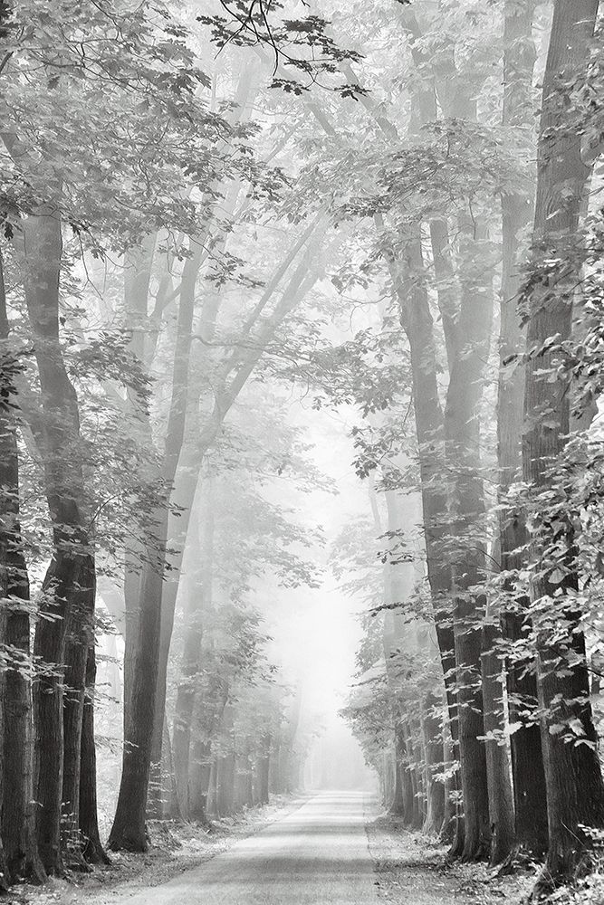 Cheer Up art print by Lars Van de Goor for $57.95 CAD