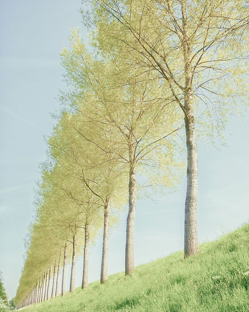 Endless art print by Lars Van de Goor for $57.95 CAD