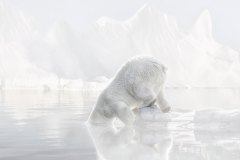 Going for a Swim art print by Lars Van de Goor for $57.95 CAD