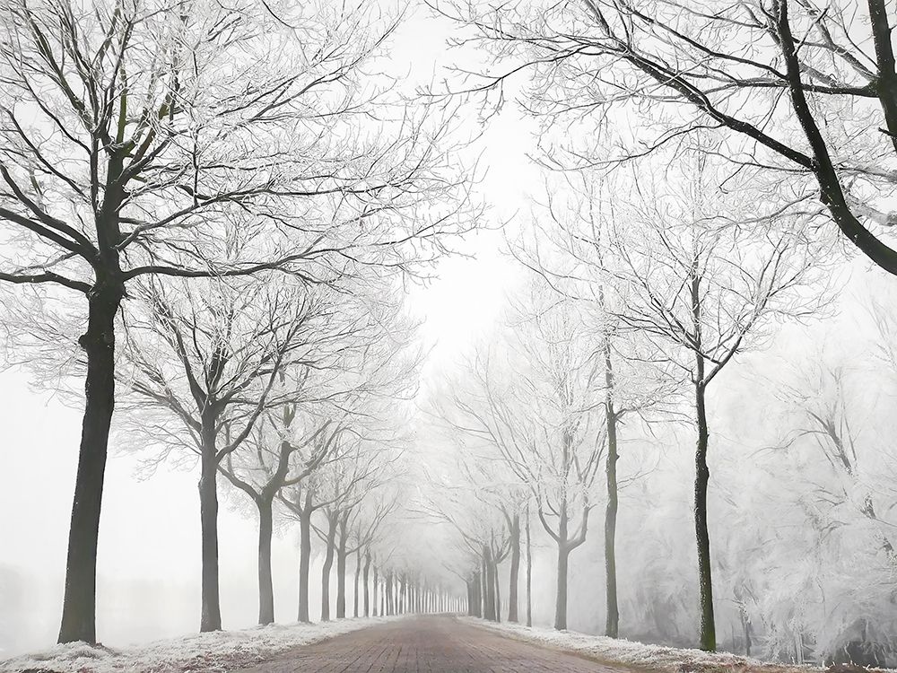 The Last Winter art print by Lars Van de Goor for $57.95 CAD