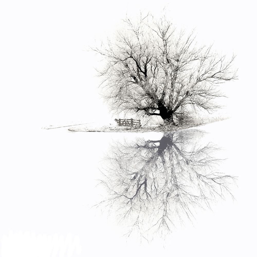 Winter art print by Lars Van de Goor for $57.95 CAD