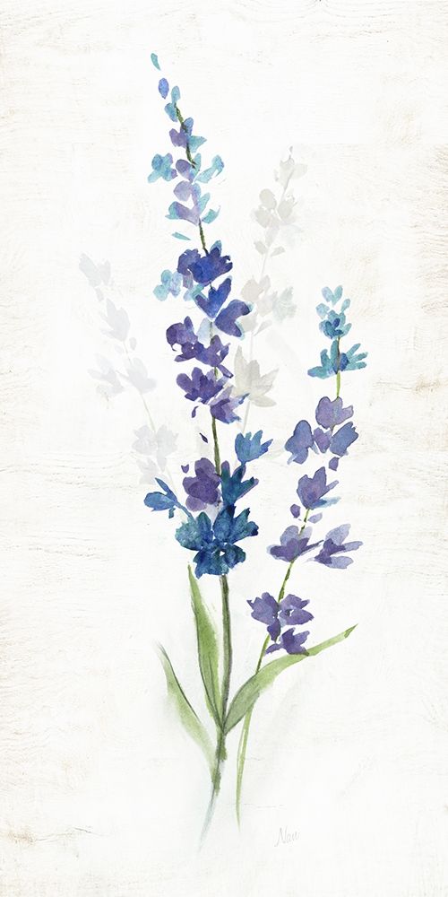Fresh Cut Lavender II art print by Nan for $57.95 CAD
