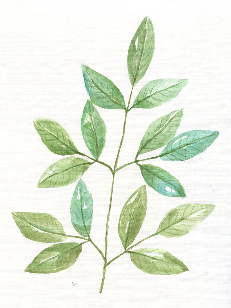 Spring Greens III art print by Nan for $57.95 CAD