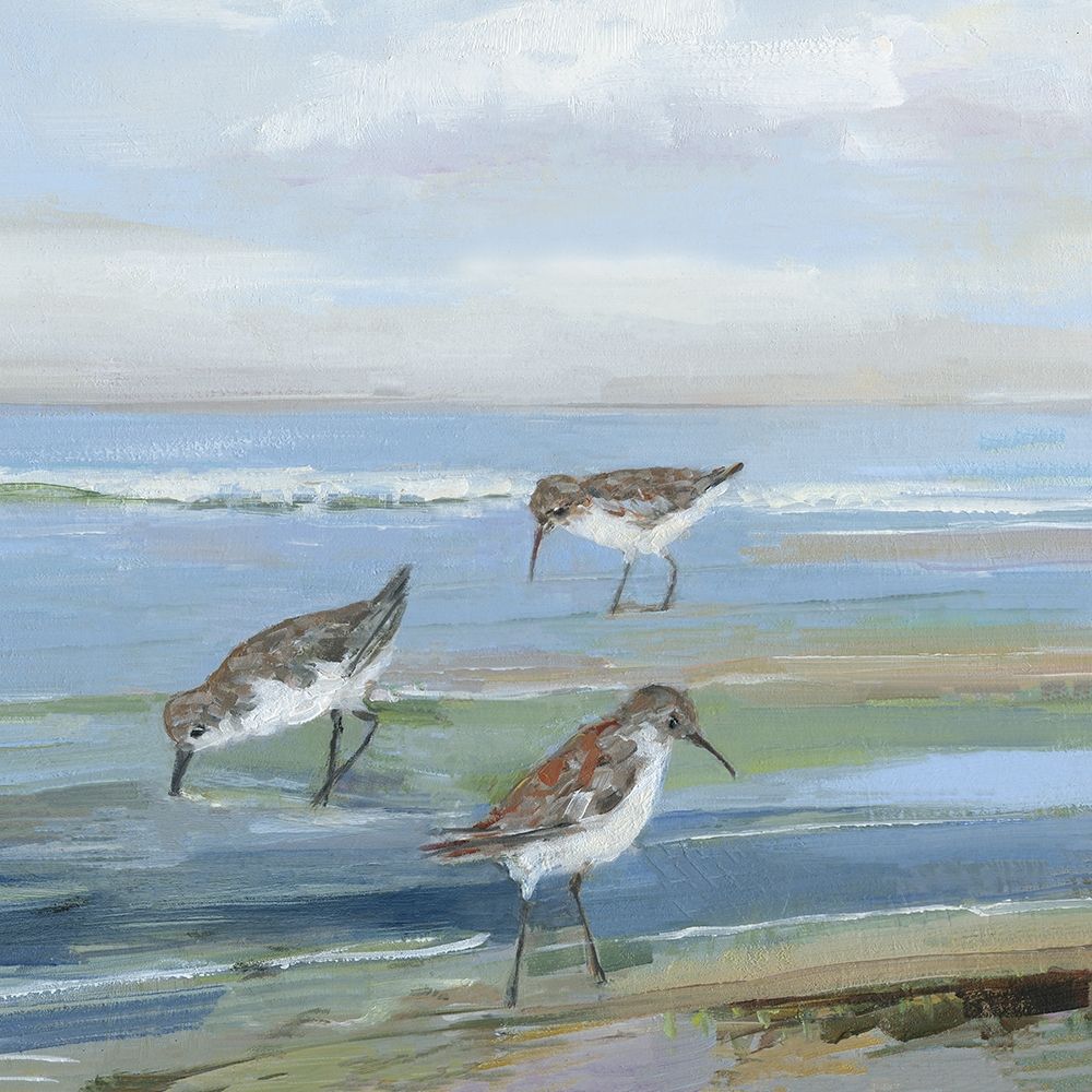 Seabird Beach I art print by Sally Swatland for $57.95 CAD