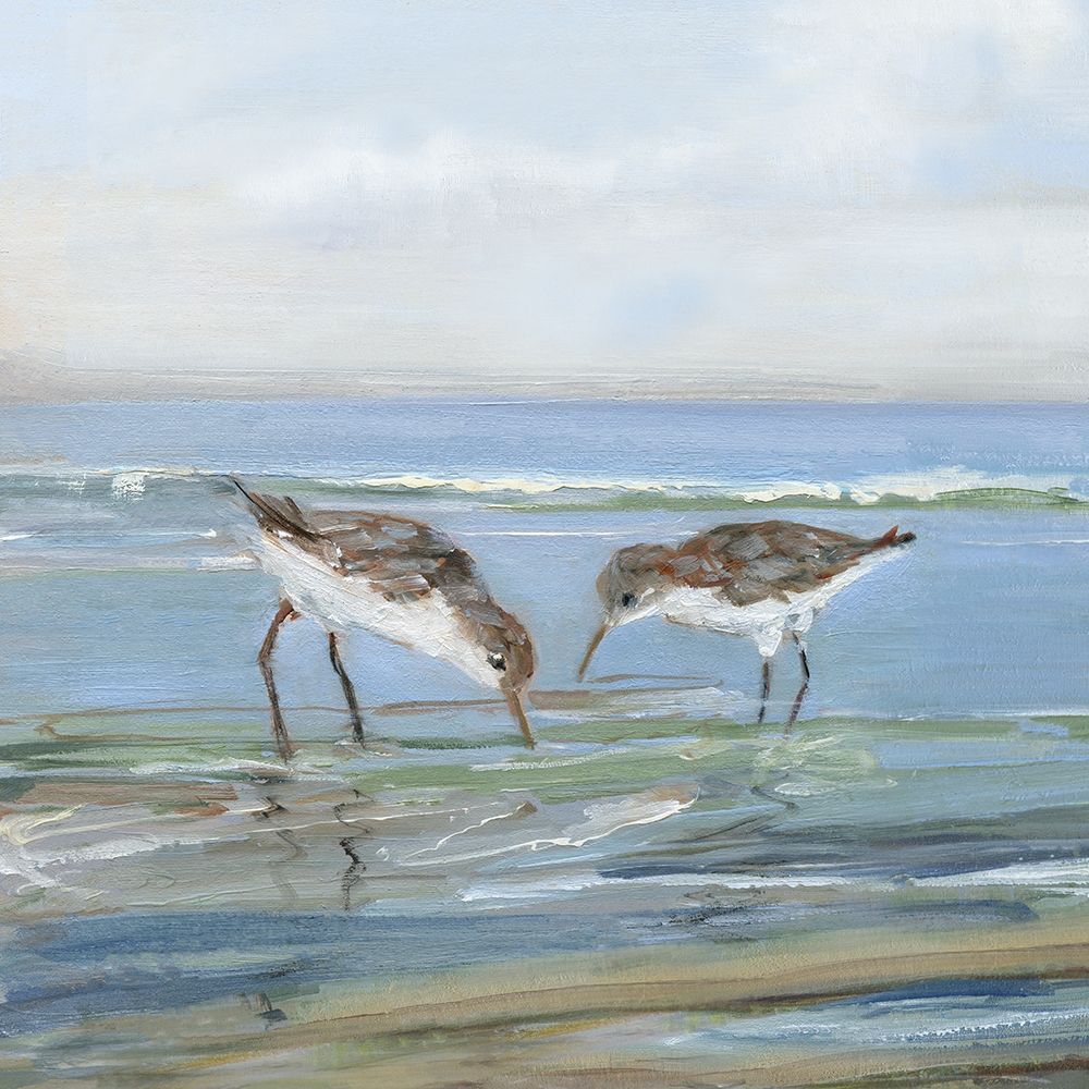 Seabird Beach II art print by Sally Swatland for $57.95 CAD