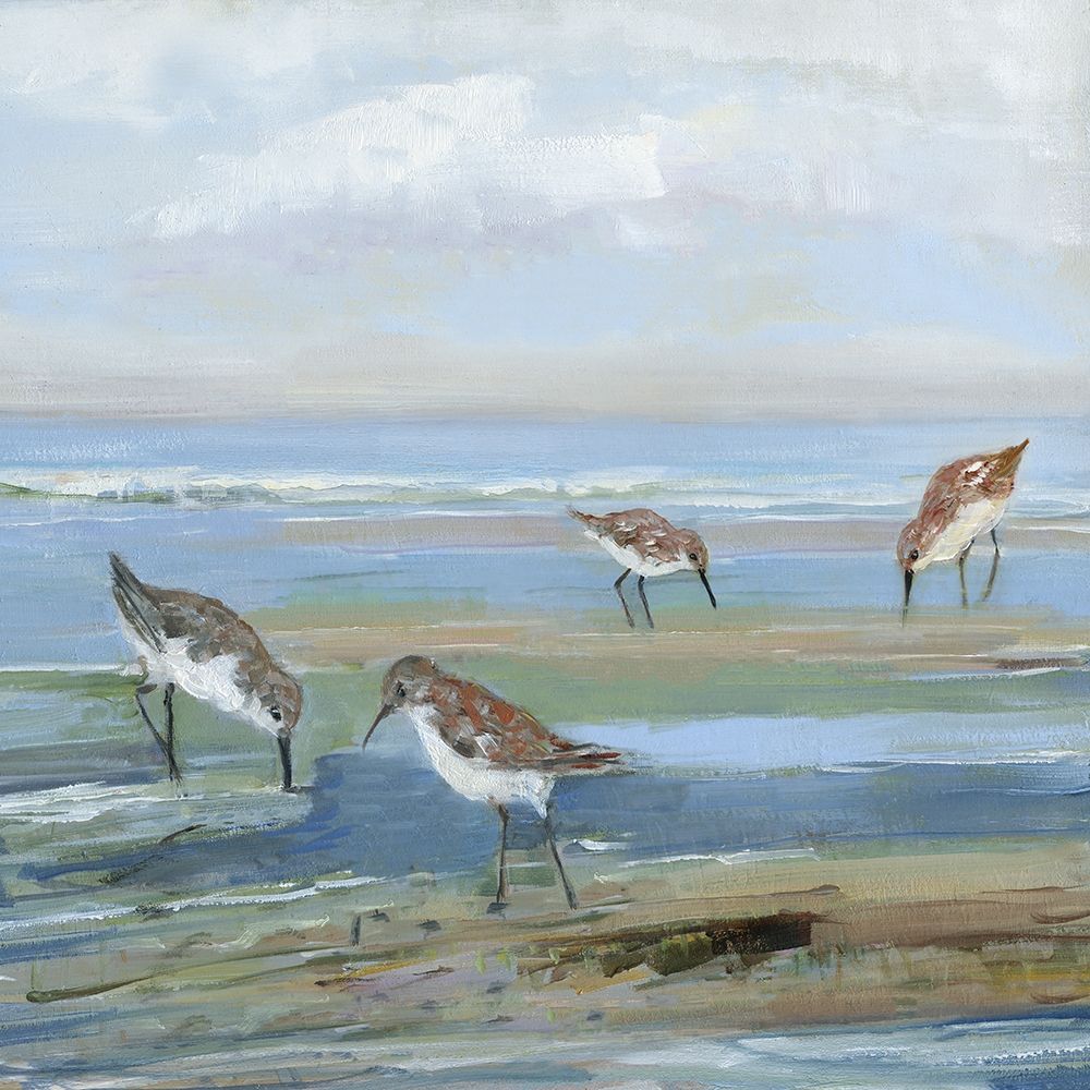 Seabird Beach III art print by Sally Swatland for $57.95 CAD