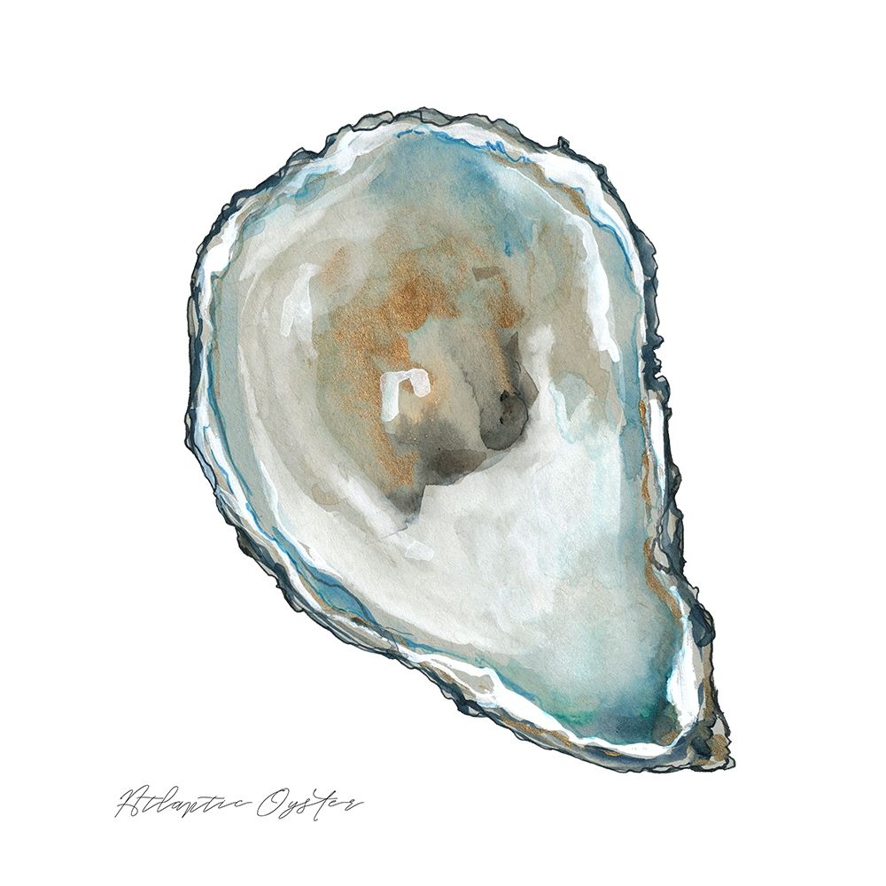 Atlantic Oyster art print by Carol Robinson for $57.95 CAD