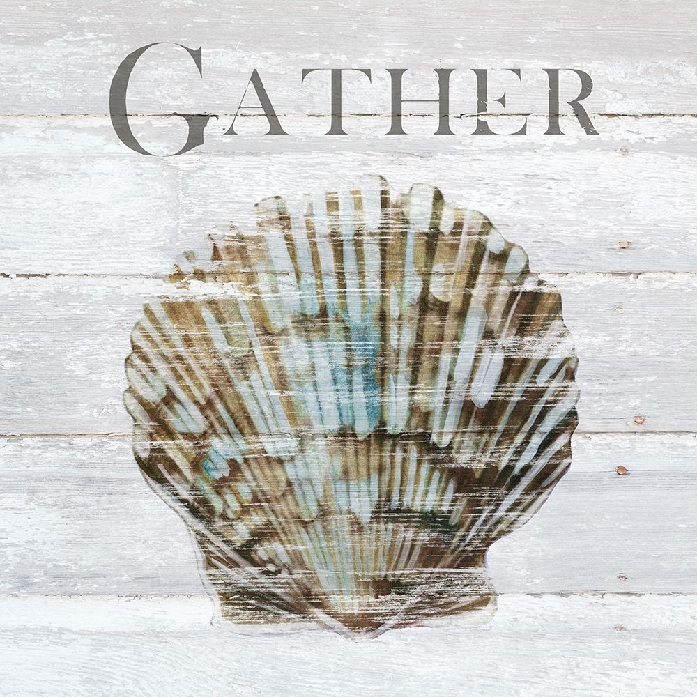 Shell Gather art print by Carol Robinson for $57.95 CAD