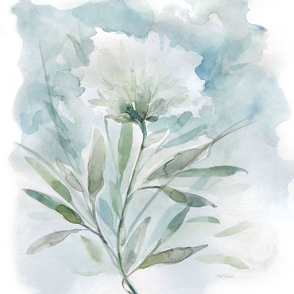 Wild Thistle Bloom II art print by Carol Robinson for $57.95 CAD