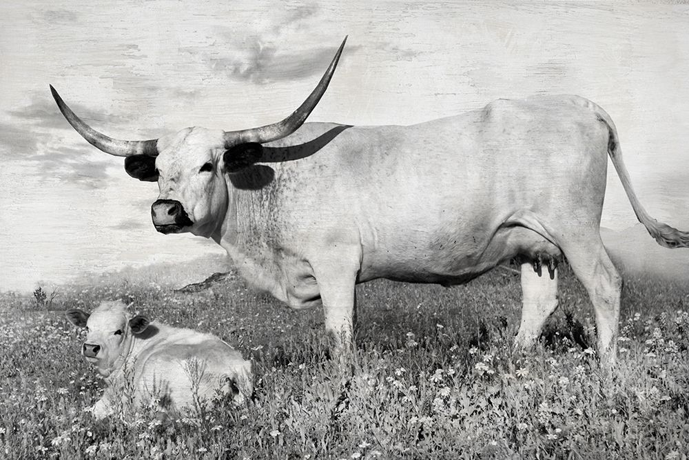 Buttercup and Bluebonnet art print by Larry Ditto for $57.95 CAD