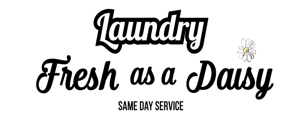 Daisy Laundry art print by Susan Jill for $57.95 CAD