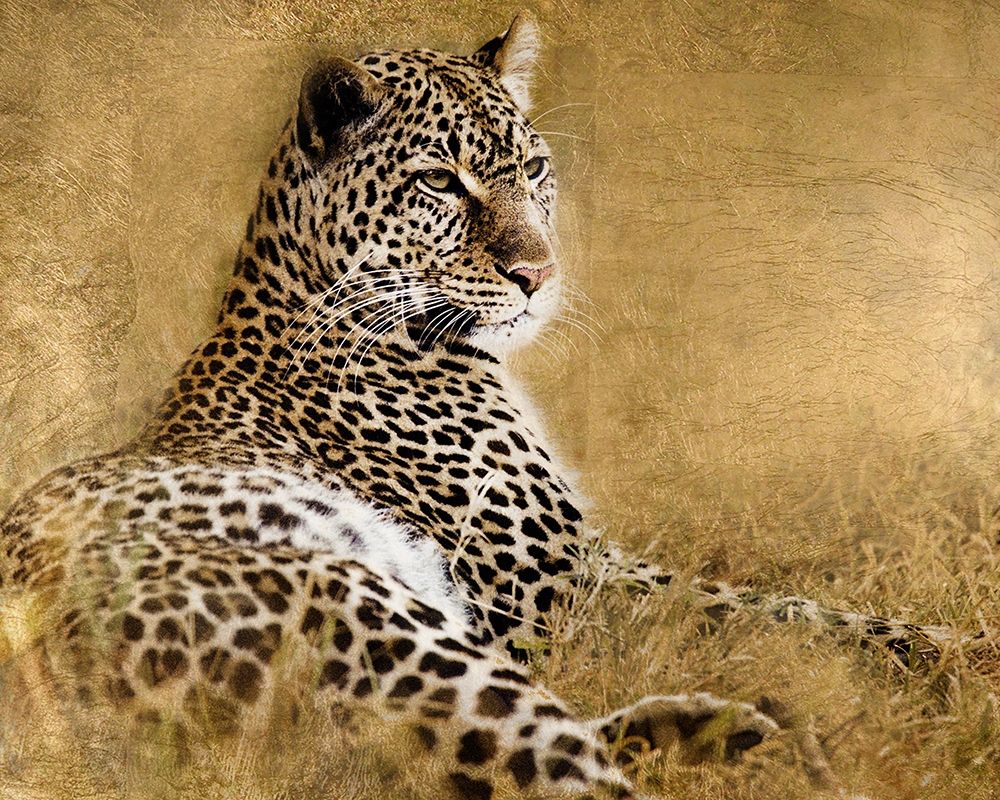 Tall Grass Gold art print by Paul Soulders for $57.95 CAD