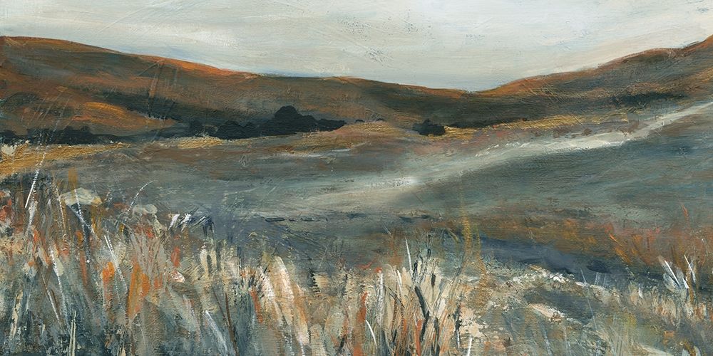 Copper Sunset art print by Carol Robinson for $57.95 CAD