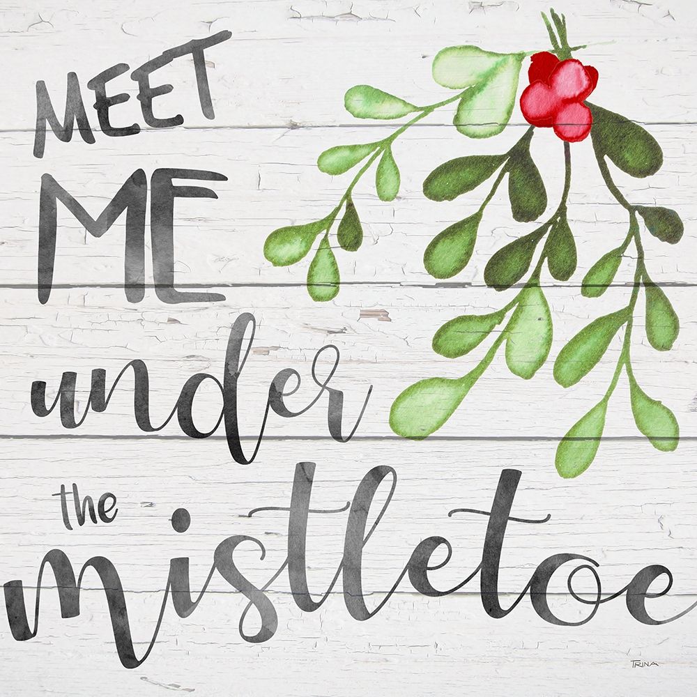 Mistletoe art print by Katrina Craven for $57.95 CAD