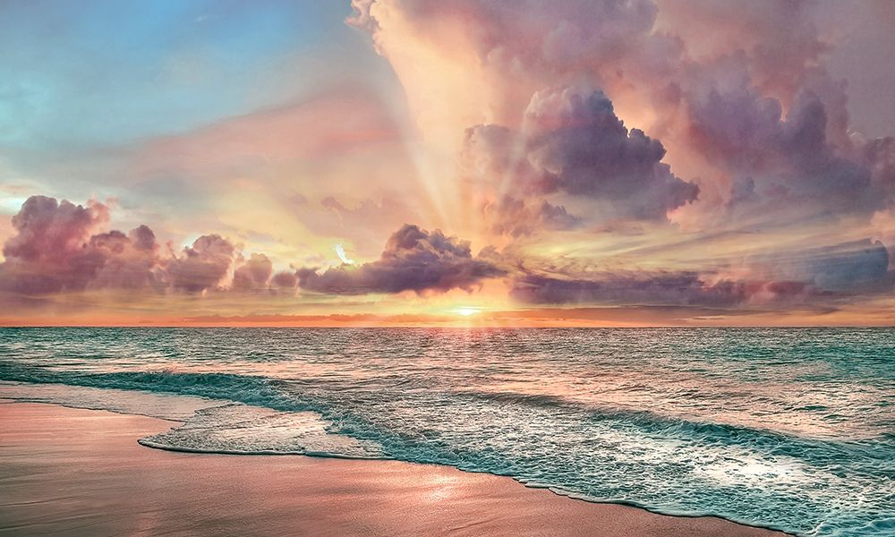 Copper Beach art print by Mike Calascibetta for $57.95 CAD