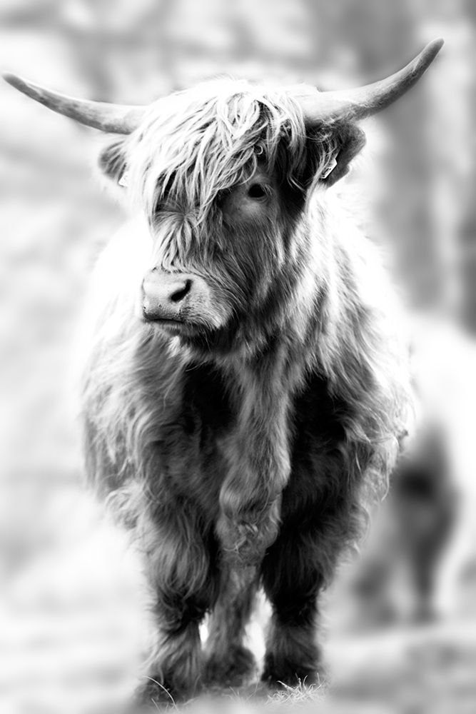 Yorkshire art print by Jay Sturdevant for $57.95 CAD
