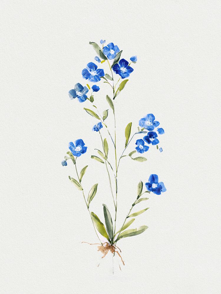 Petite Blue I art print by Sally Swatland for $57.95 CAD