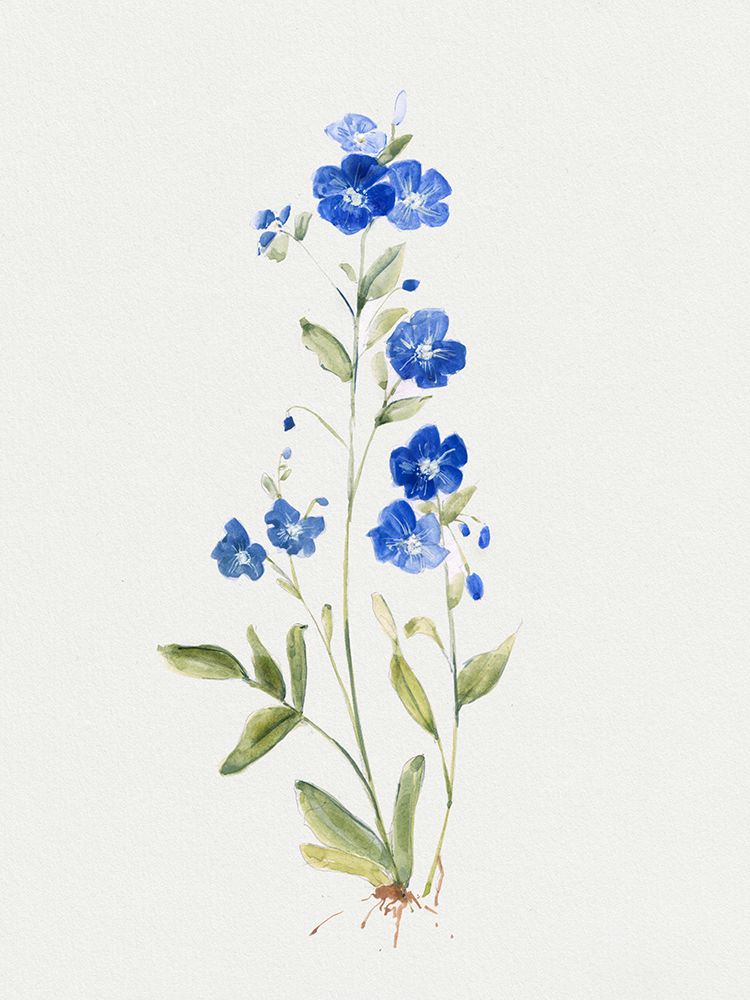 Petite Blue II art print by Sally Swatland for $57.95 CAD