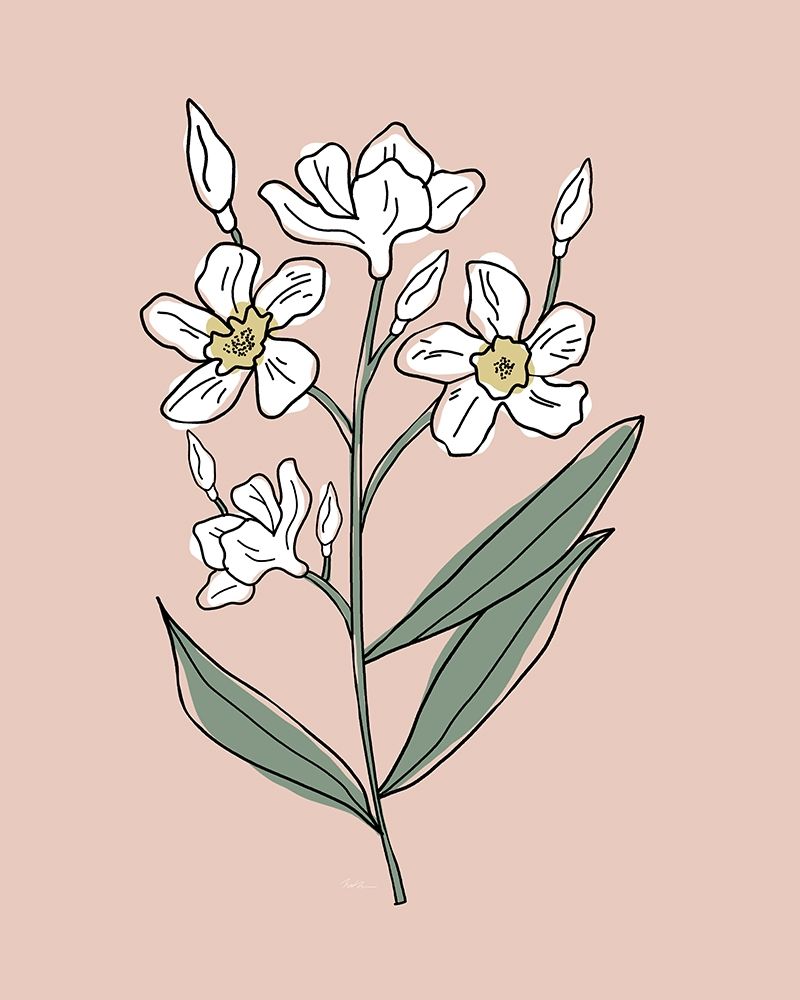 Outline Botanical II art print by Natalie Carpentieri for $57.95 CAD
