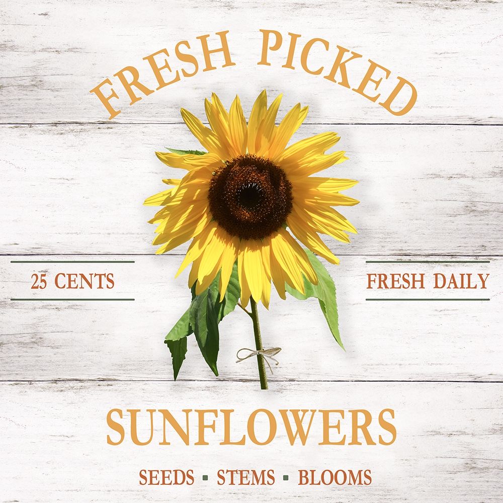 Fresh Picked Sunflowers art print by Natalie Carpentieri for $57.95 CAD