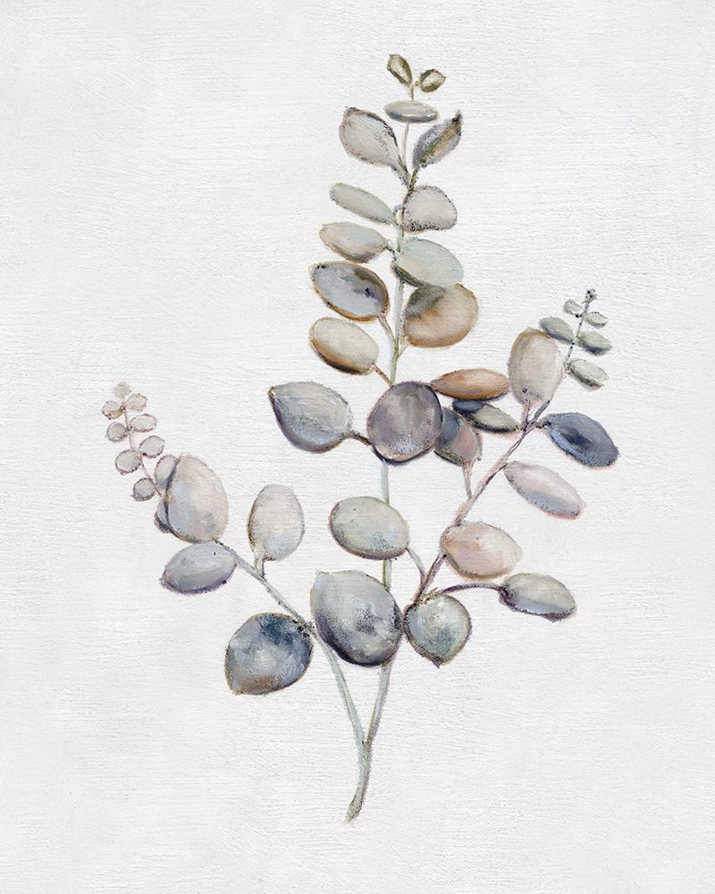 Eucalyptus I art print by Donna Brooks for $57.95 CAD