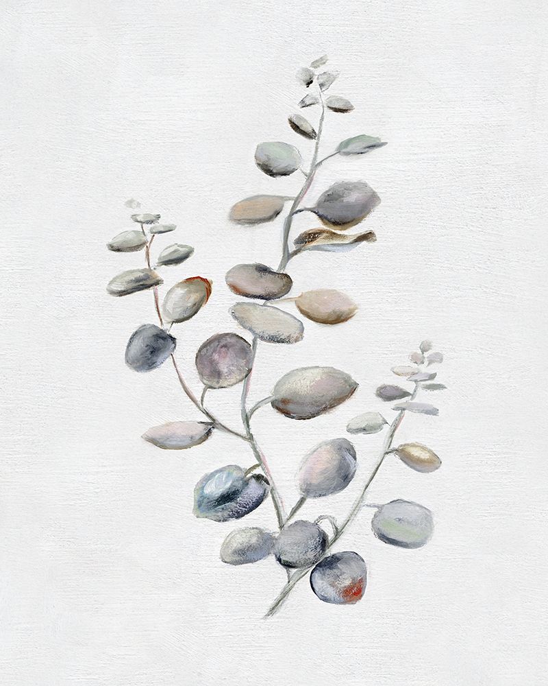 Eucalyptus II art print by Donna Brooks for $57.95 CAD