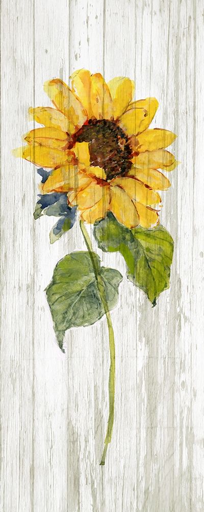 Sunflower in Autumn I art print by Sally Swatland for $57.95 CAD