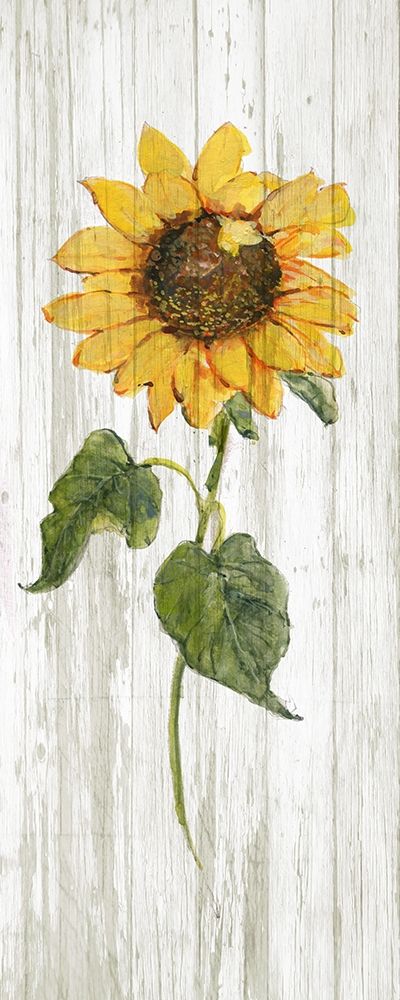 Sunflower in Autumn II art print by Sally Swatland for $57.95 CAD