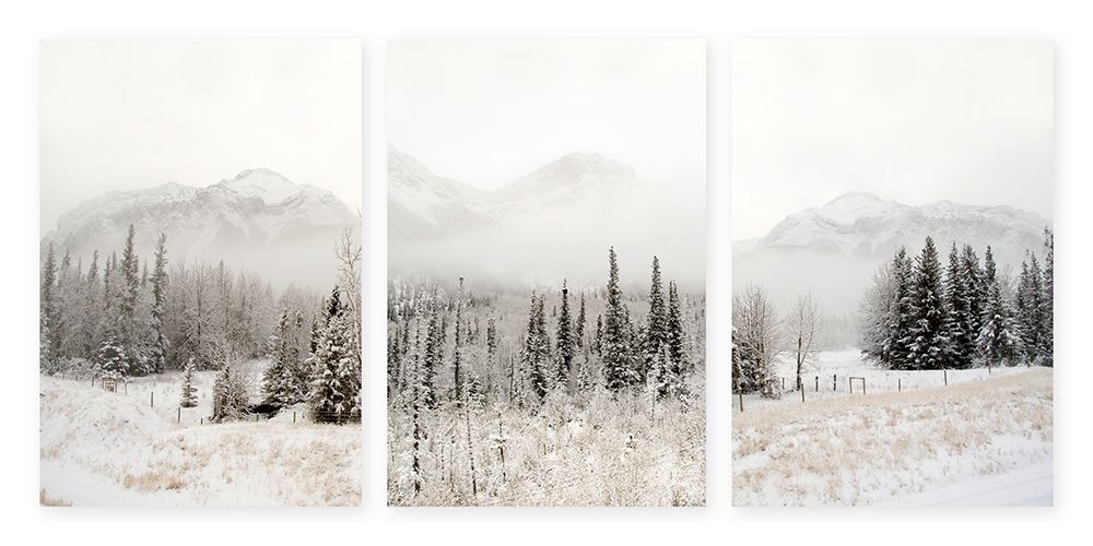 Snowbound art print by Danita Delimont for $57.95 CAD