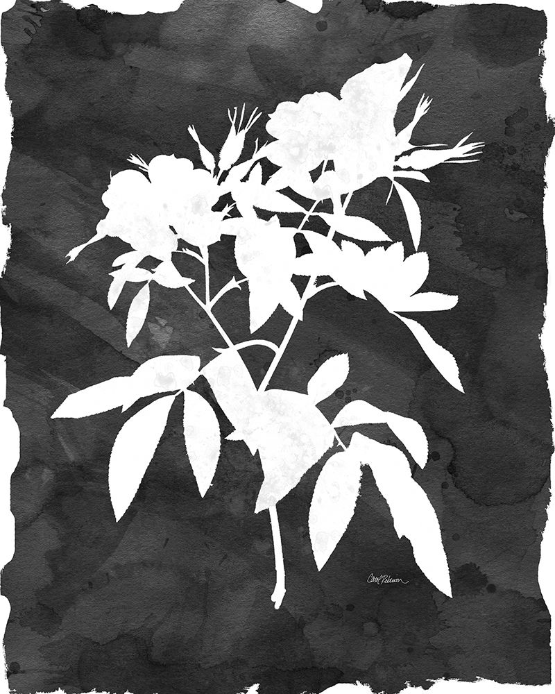 Black Botanical I art print by Carol Robinson for $57.95 CAD