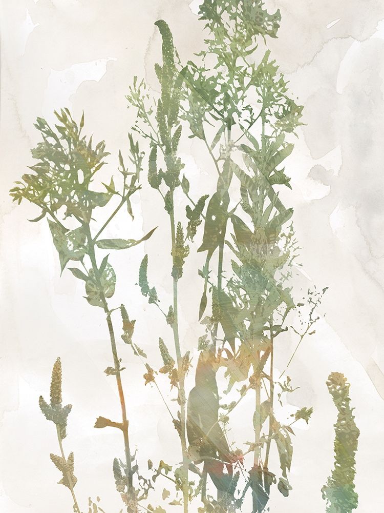 Untamed Garden I art print by Carol Robinson for $57.95 CAD