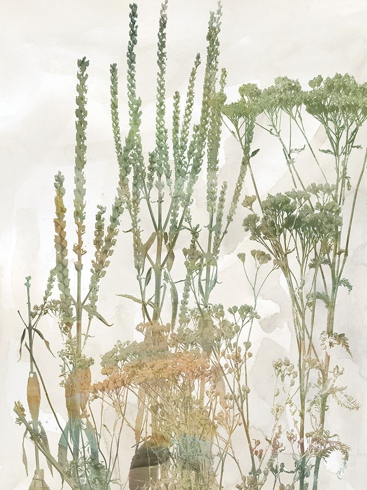 Untamed Garden II art print by Carol Robinson for $57.95 CAD