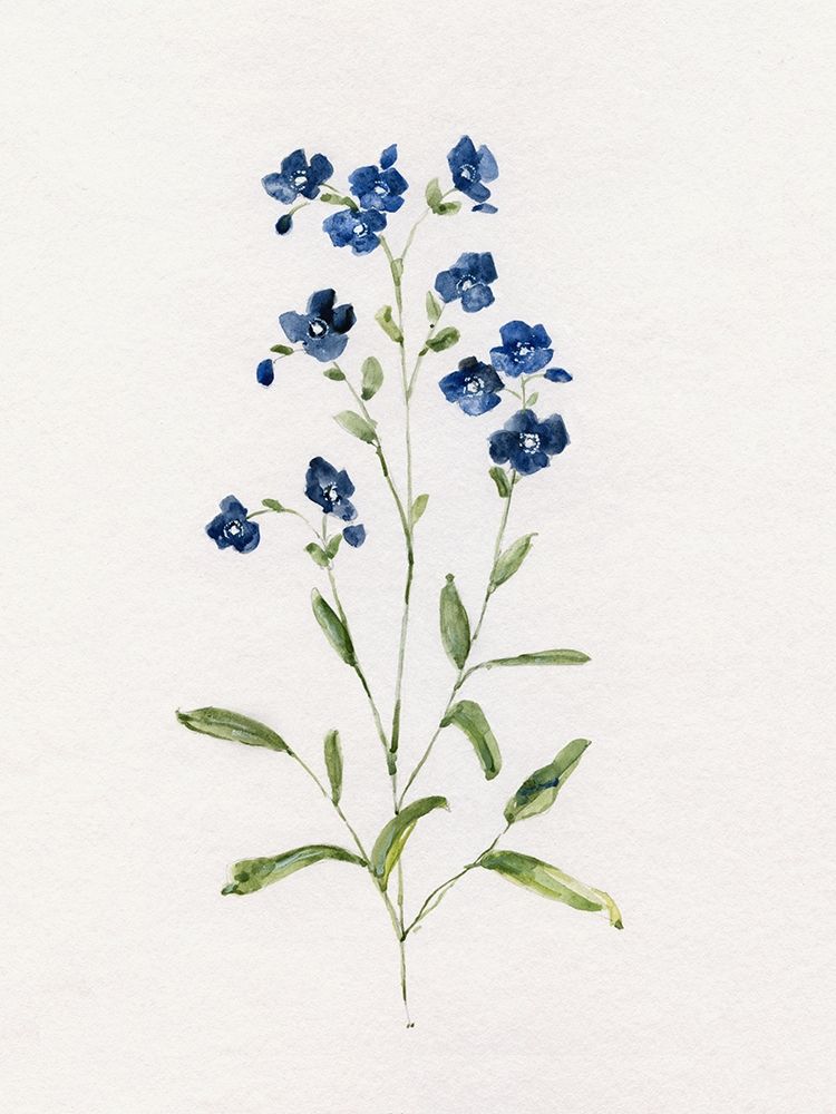 Petite Blue I art print by Sally Swatland for $57.95 CAD