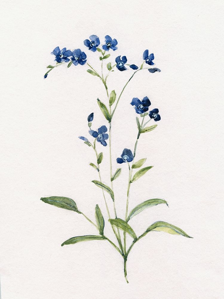Petite Blue II art print by Sally Swatland for $57.95 CAD