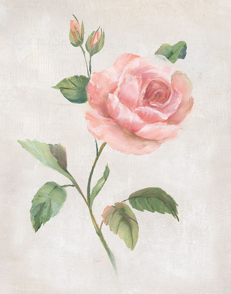 Grandiflora I art print by Nan for $57.95 CAD