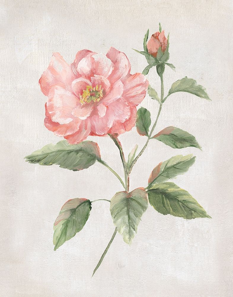 Grandiflora II art print by Nan for $57.95 CAD