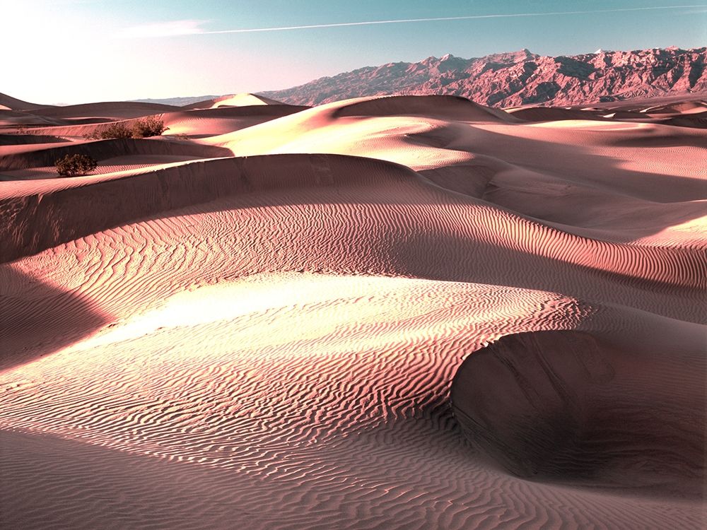Mojave at Sunset art print by Danita Delimont for $57.95 CAD