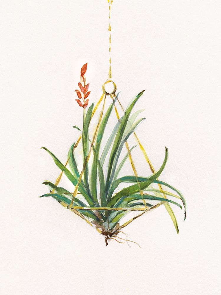 Gardenaire I art print by Sally Swatland for $57.95 CAD