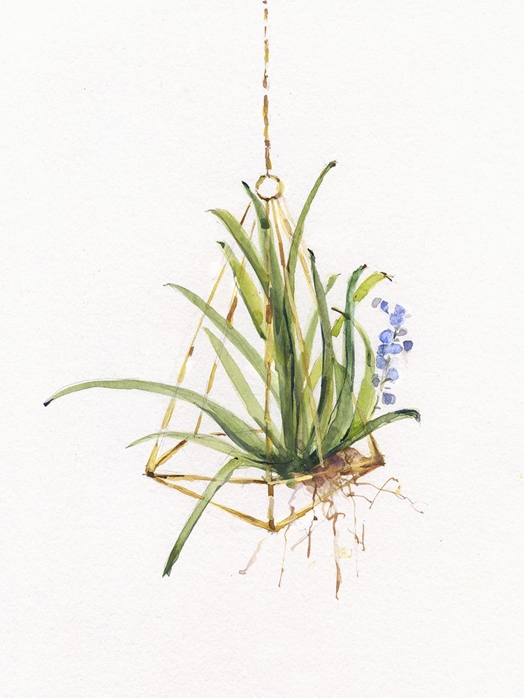 Gardenaire II art print by Sally Swatland for $57.95 CAD