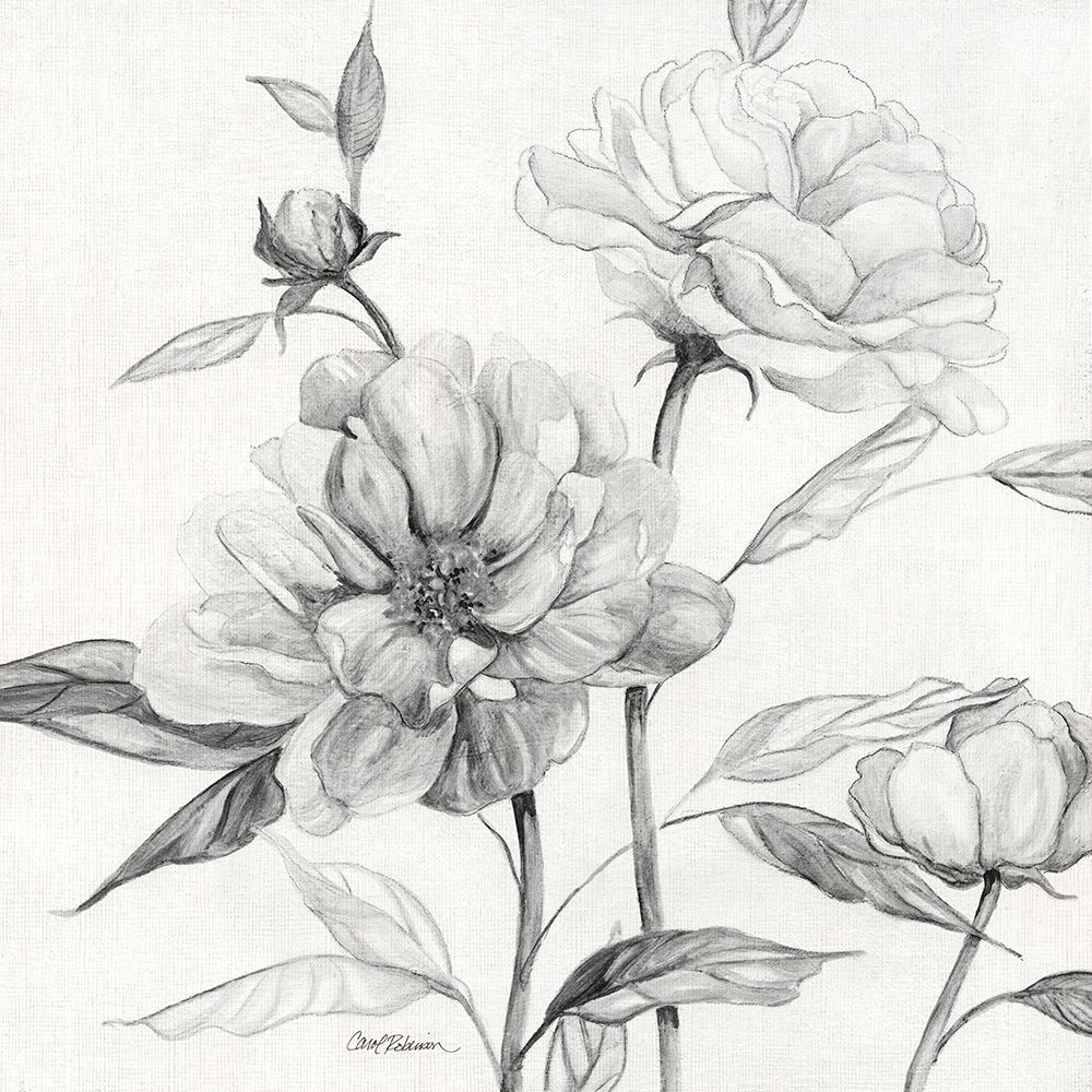 Linen Peony Sketch I art print by Carol Robinson for $57.95 CAD