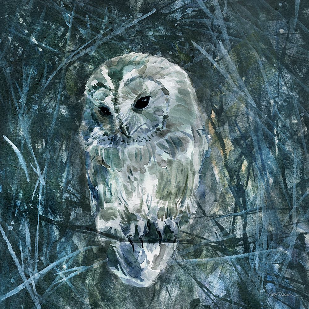 Deep in the Forest art print by Carol Robinson for $57.95 CAD