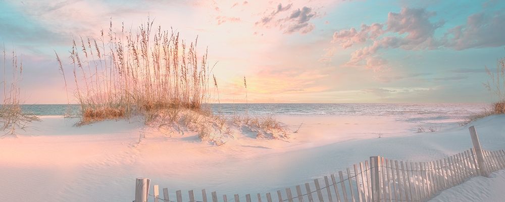 Through the Sea Grass art print by Mike Calascibetta for $57.95 CAD