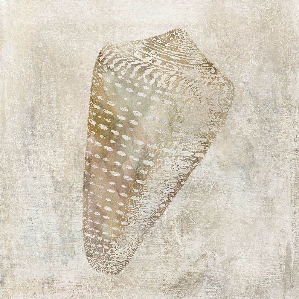 Seashell Illusion II art print by Carol Robinson for $57.95 CAD