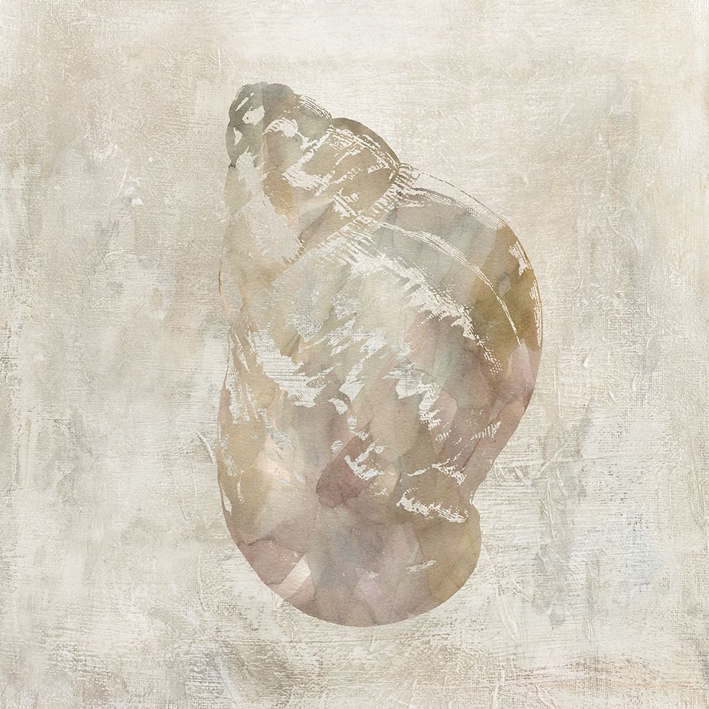 Seashell Illusion IV art print by Carol Robinson for $57.95 CAD
